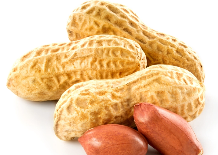 中醫花生養生 中醫花生養生