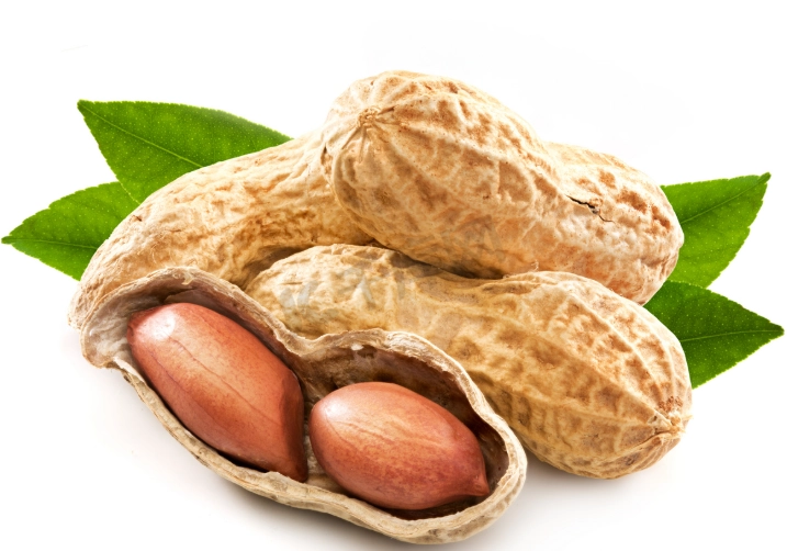 花生營養中醫觀點 花生營養中醫觀點