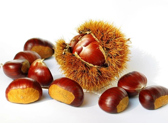 栗子消化不良 栗子消化不良