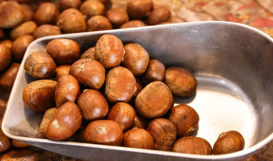 栗子消化不良 栗子消化不良