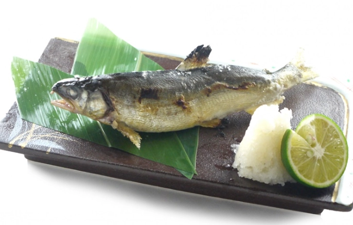 香魚清潔技巧 香魚清潔技巧