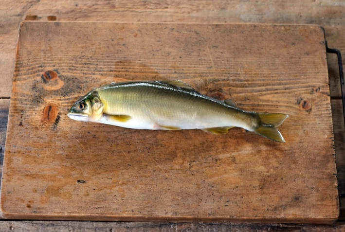 香魚處理方法 香魚處理方法