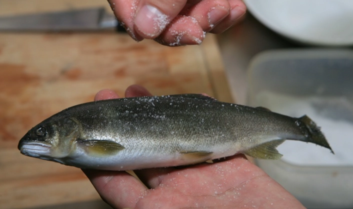 香魚處理方法 香魚處理方法