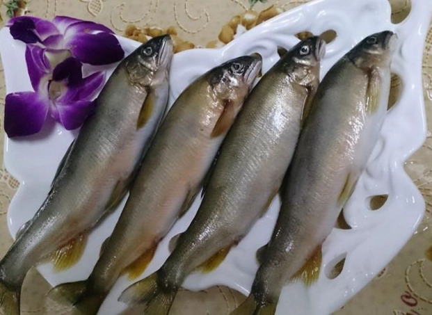 香魚料理食譜