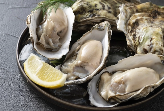 台灣牡蠣行情